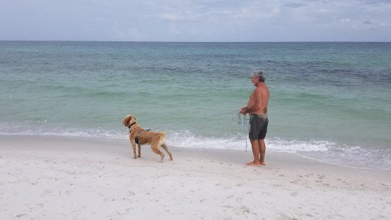 Pensacola Beach East Dog Park